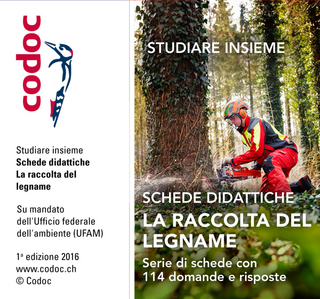 Schede didattiche La raccolta del legname