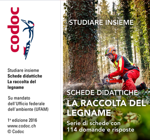 Schede didattiche La raccolta del legname