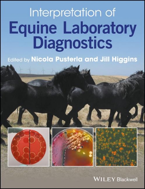 Interpretation of Equine Laboratory Diagnostics - 