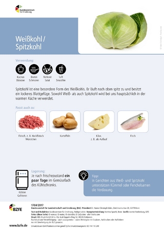 Lebensmittel-Infoblatt: Weißkohl/Spitzkohl