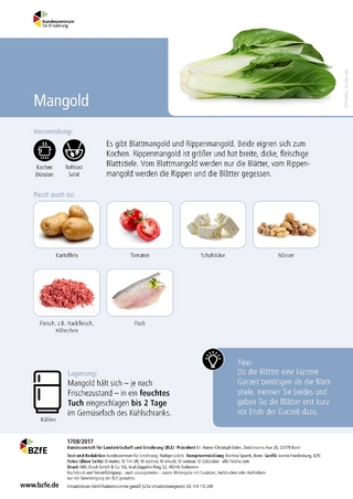 Lebensmittel-Infoblatt: Mangold