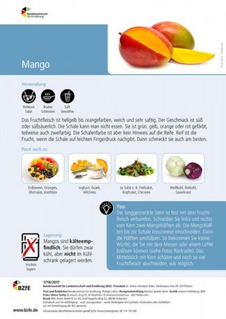 Lebensmittel-Infoblatt: Mango