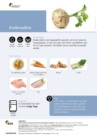 Lebensmittel-Infoblatt: Knollensellerie