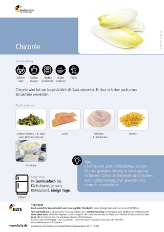 Lebensmittel-Infoblatt: Chicorée