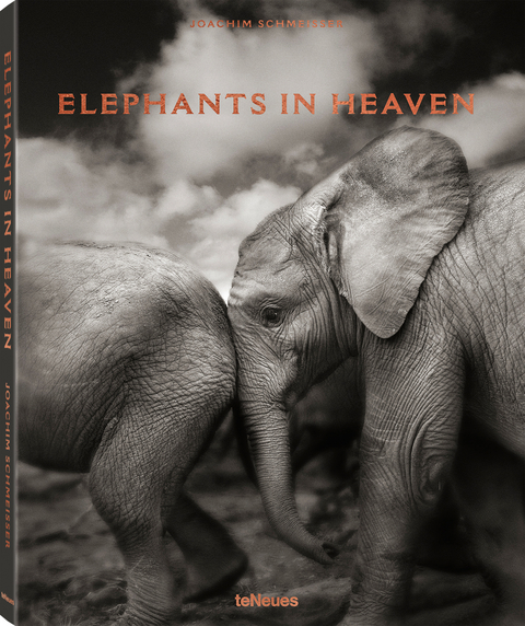 Elephants in Heaven - Joachim Schmeisser