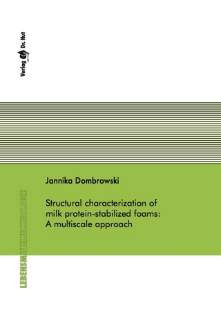Structural characterization of milk protein-stabilized foams: A multiscale approach