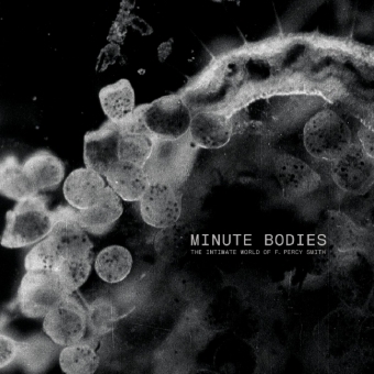 Minute Bodies, 1 Audio-CD + 1 DVD (Ltd. Deluxe Edt.) -  Tindersticks