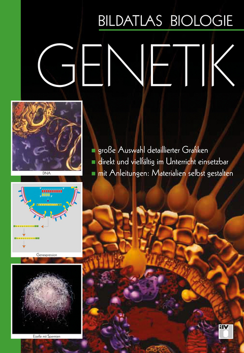 Bildatlas Biologie / DVD 2 - Genetik - Frances Leroy