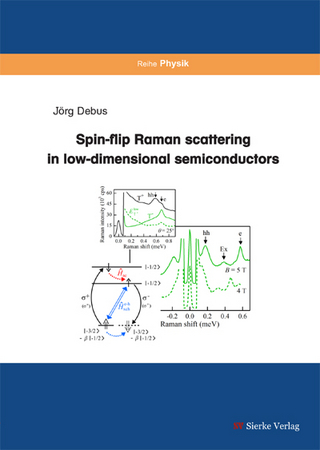 Spin-flip Raman scattering in low-dimensional semiconductors