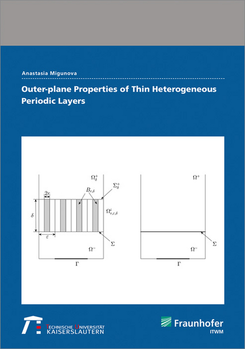Outer-plane Properties of Thin Heterogeneous Periodic Layers - Anastasia Migunova