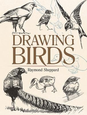Drawing Birds - Raymond Sheppard