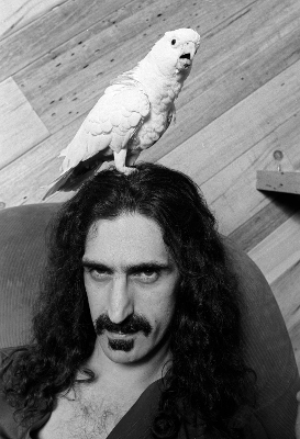 Neal Preston: Exhilarated and Exhausted