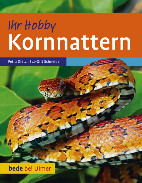 Kornnattern - Eva-Grit Schneider, Petra Dietz