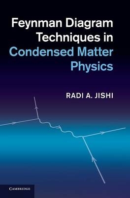 Feynman Diagram Techniques in Condensed Matter Physics