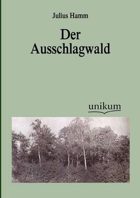 Der Ausschlagwald