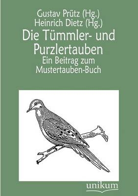 Die Tümmler- und Purzlertauben