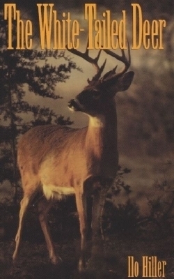 White-Tailed Deer -  Hiller
