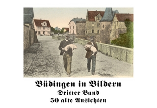 Büdingen in Bildern III.