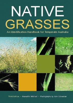 Native Grasses - Meredith Mitchell