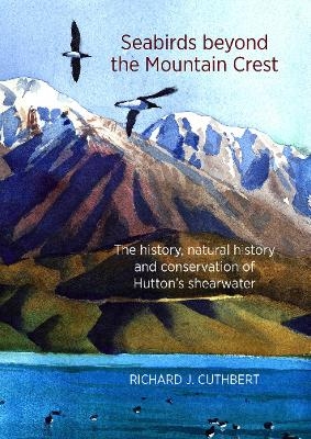 Seabirds Beyond the Mountain Crest - 