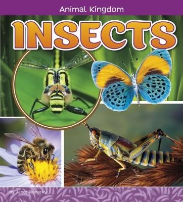 Insects - Janet Riehecky