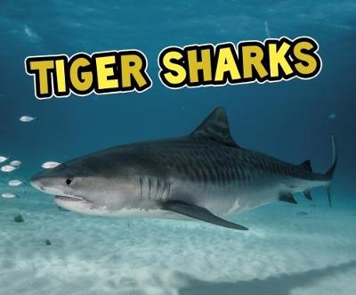Tiger Sharks - Deborah Nuzzolo