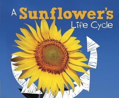A Sunflower's Life Cycle - Mary R. Dunn