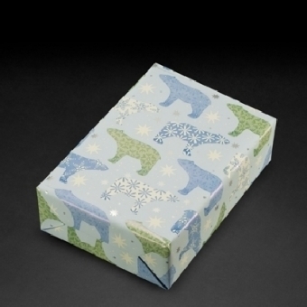 Geschenkpapier Polaris mg 5-farbig (Rolle 30 cm)