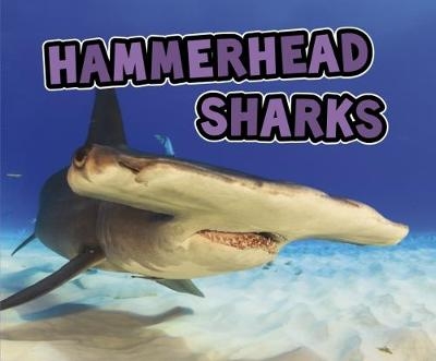 Hammerhead Sharks - Deborah Nuzzolo