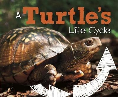 A Turtle's Life Cycle - Mary R. Dunn