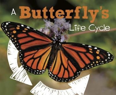 A Butterfly's Life Cycle - Mary R. Dunn