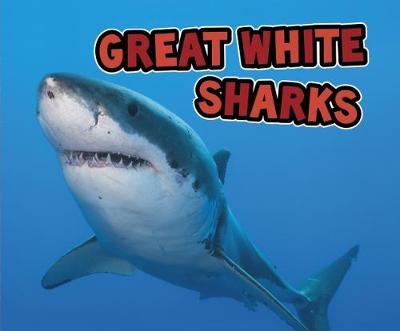 Great White Sharks - Deborah Nuzzolo