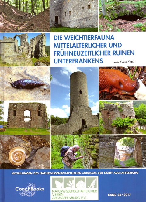 Die Weichtierfauna mittelalterlicher und fr&uuml;hneuzeitlicher Ruinen Unterfrankens - Klaus Kittel