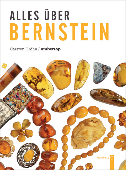 Alles über Bernstein - Carsten Gröhn