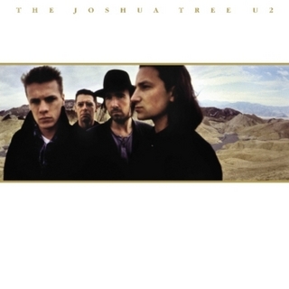 The Joshua Tree, 2 Audio-CDs (30th Anniversary) (Ltd. 2CD Deluxe)