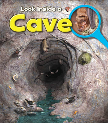 Cave - Richard Spilsbury
