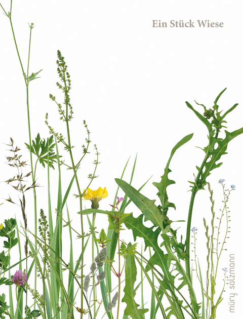 Ein St&uuml;ck Wiese und ein Fuder Heu - Markus Scherer