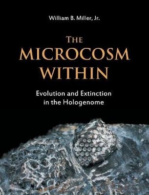 The Microcosm Within