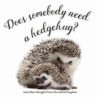 Does Somebody Need a Hedgehug? - Smith Gibbs