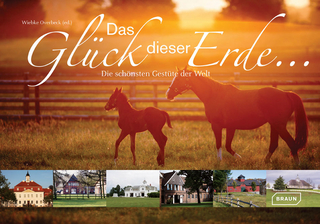 Auf dem Rücken der Pferde...