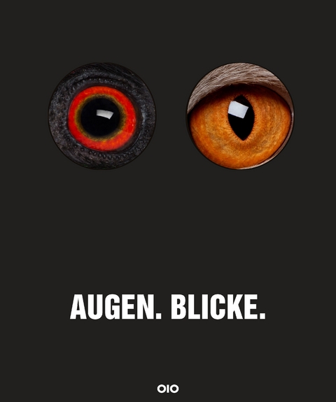 Augen.Blicke. - 