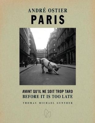 Paris, Before It Is Too Late - Thomas Michael Gunther