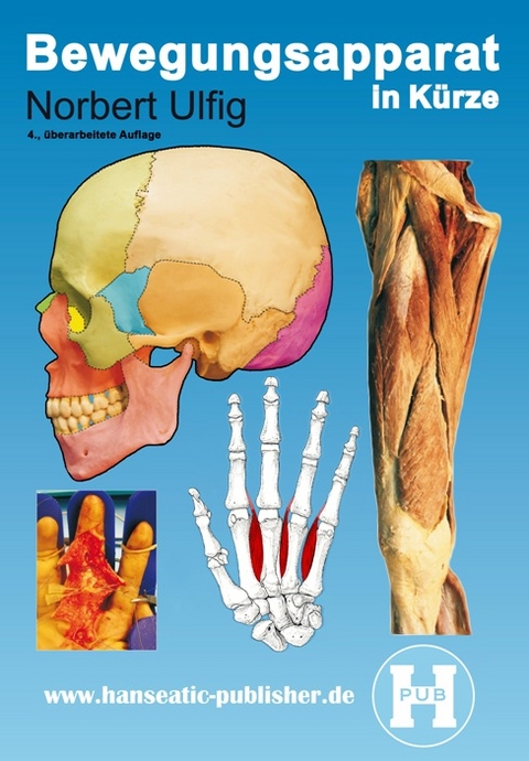 Bewegungsapparat in K&uuml;rze - Norbert Ulfig
