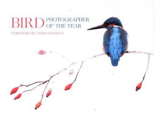 Bird Photographer of the Year