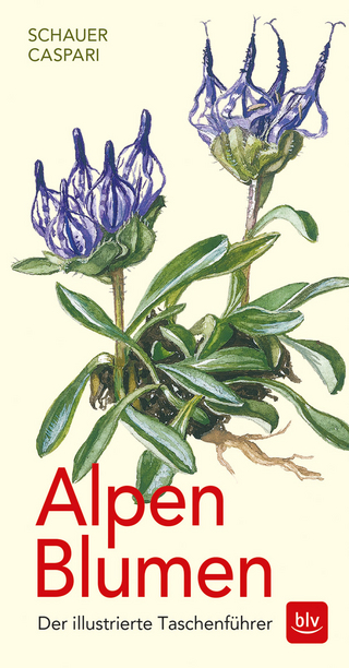 Alpen-Blumen