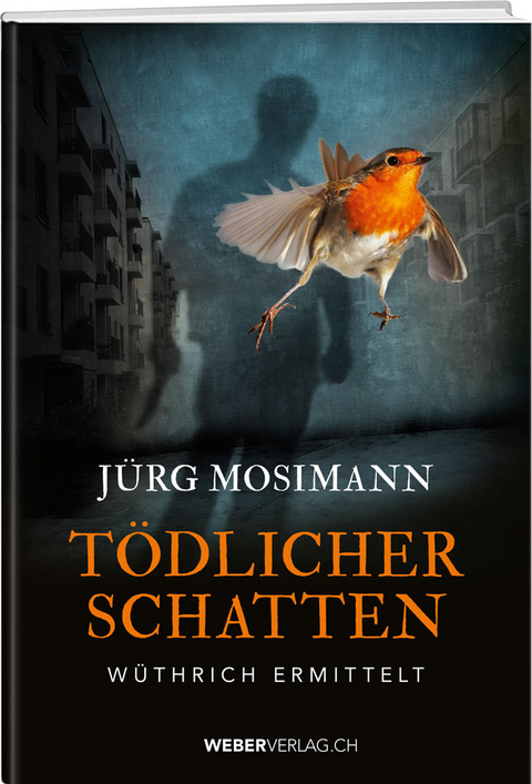 T&ouml;dlicher Schatten - J&uuml;rg Mosimann