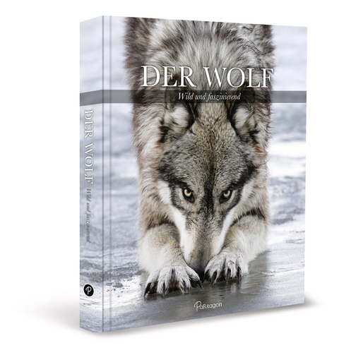 Der Wolf - Shaun Ellis