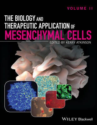 The Biology and Therapeutic Application of Mesenchymal Cells