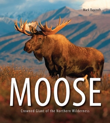 Moose - Mark Raycroft