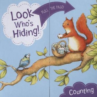 Look Who's Hiding: Counting